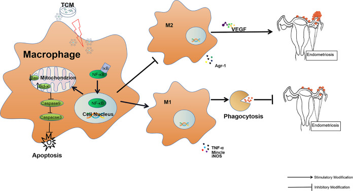 Figure 11.