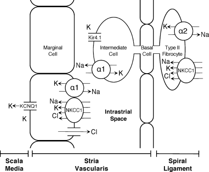 FIG. 8