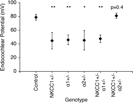 FIG. 7