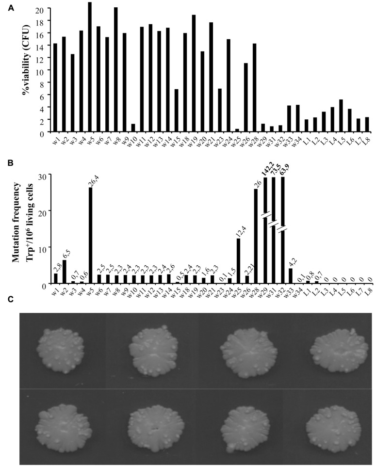 FIGURE 2