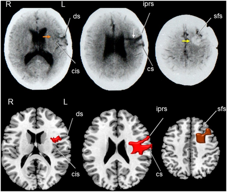 FIGURE 4