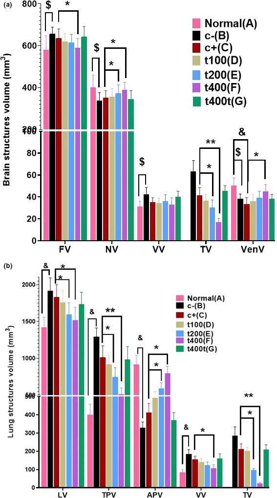 FIGURE 10