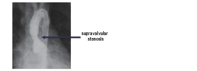 Appendix Fig.1.