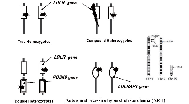 Fig.1.