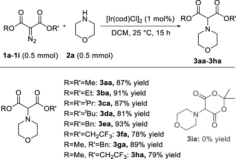 Scheme 2