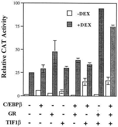 FIG. 7