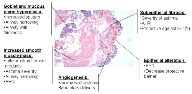 Figure 2)