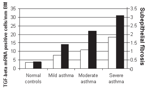 Figure 3)