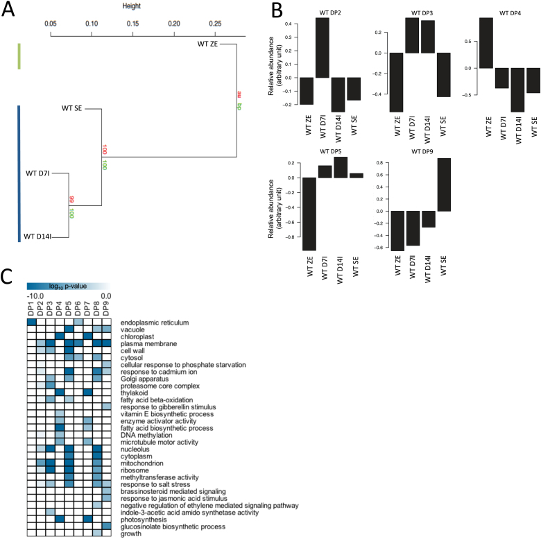 Fig. 4.