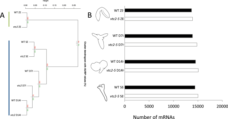 Fig. 5.