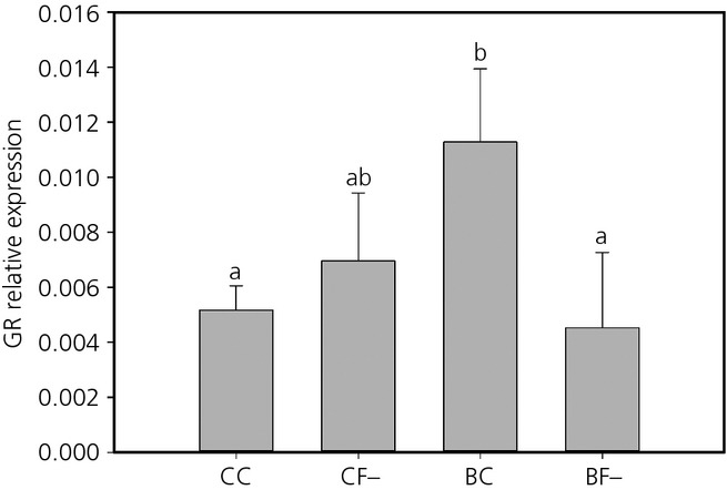 Fig 5