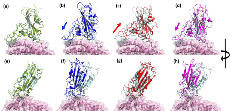 Fig. 3