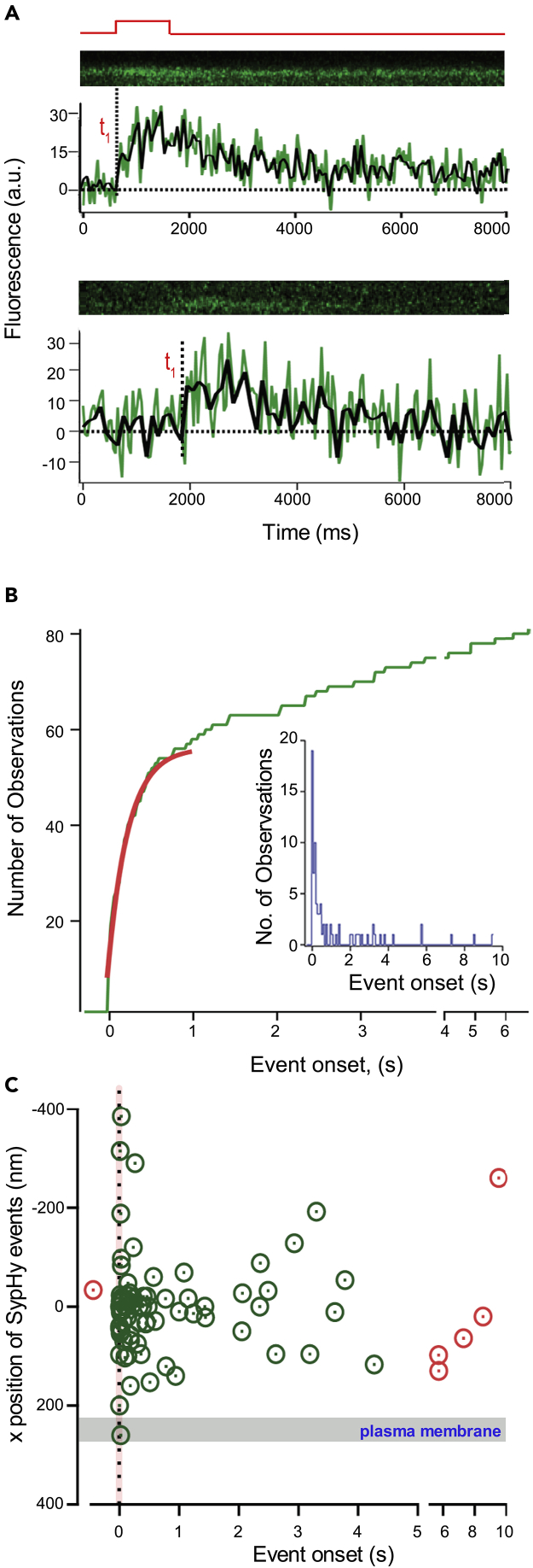 Figure 3