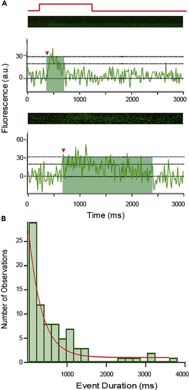 Figure 4