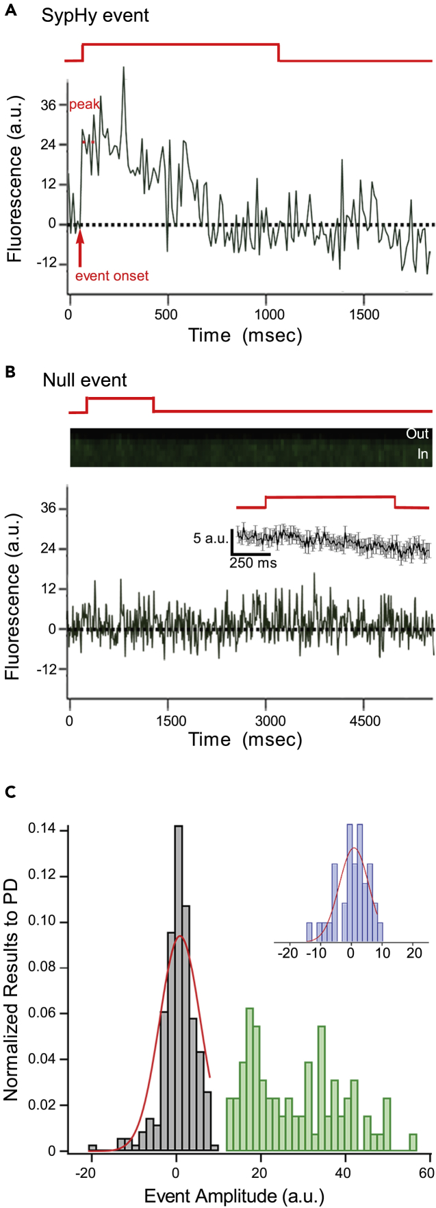 Figure 2