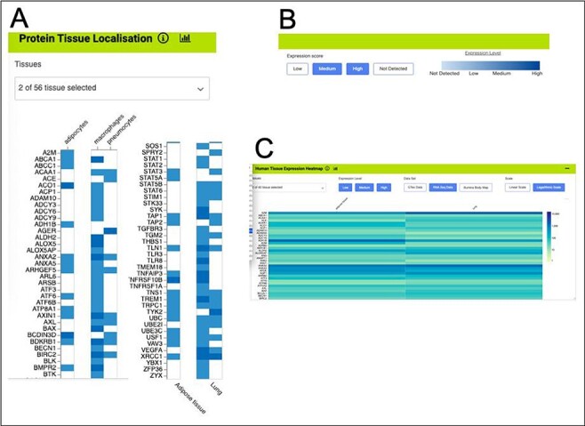 Figure 11.