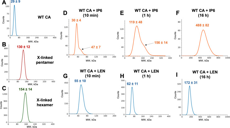Fig 6