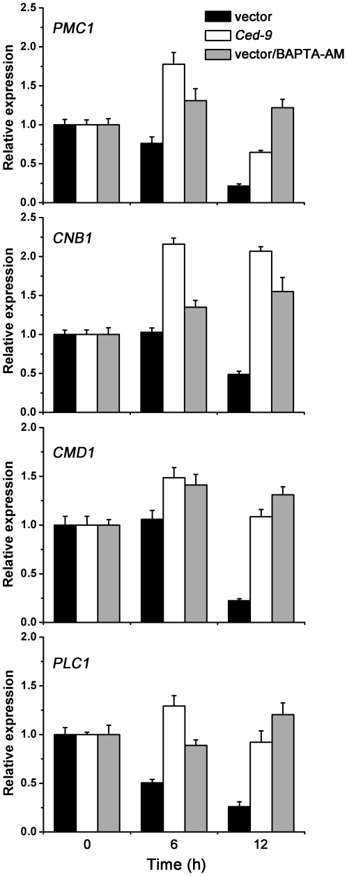 Figure 6