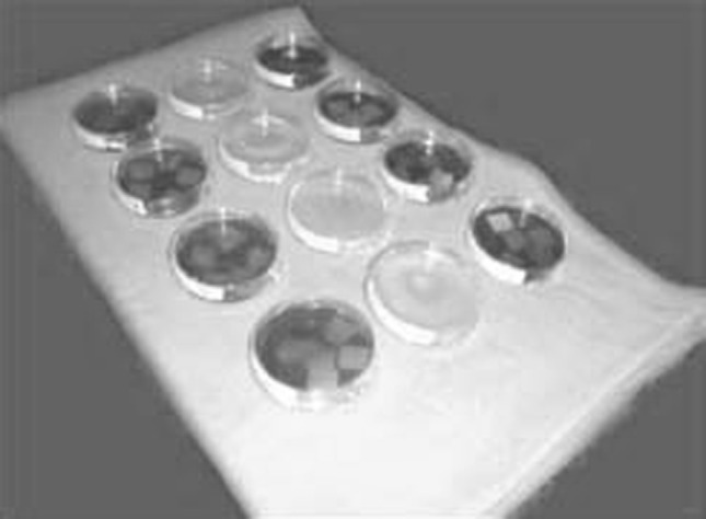 Fig. 2