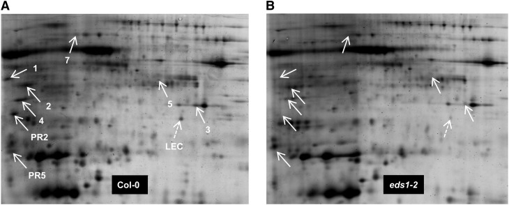 Figure 3.