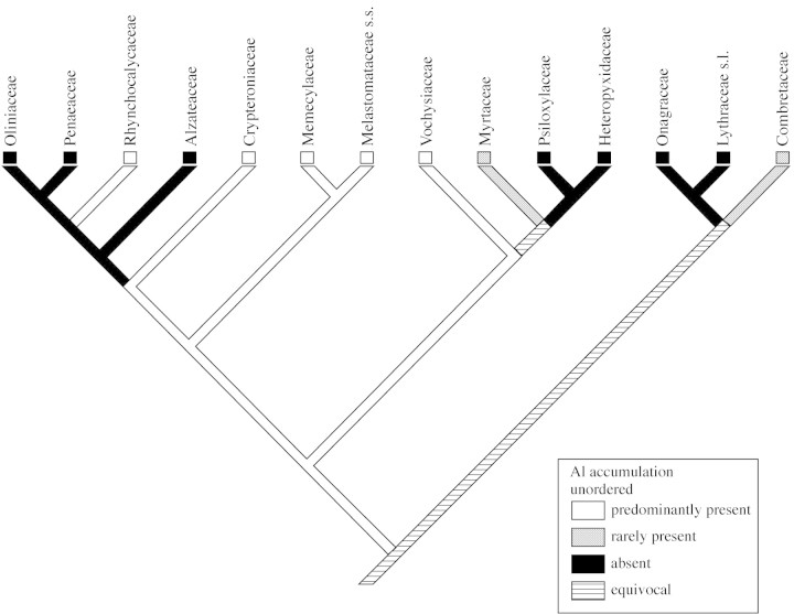graphic file with name mcf142f2.jpg