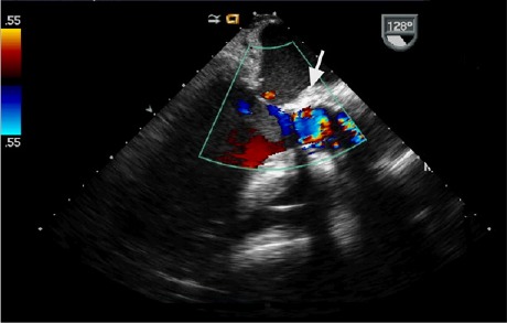 Fig. 3.