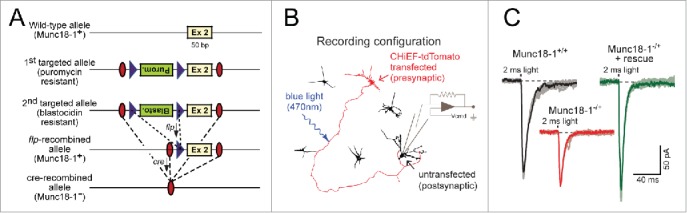 Figure 2.