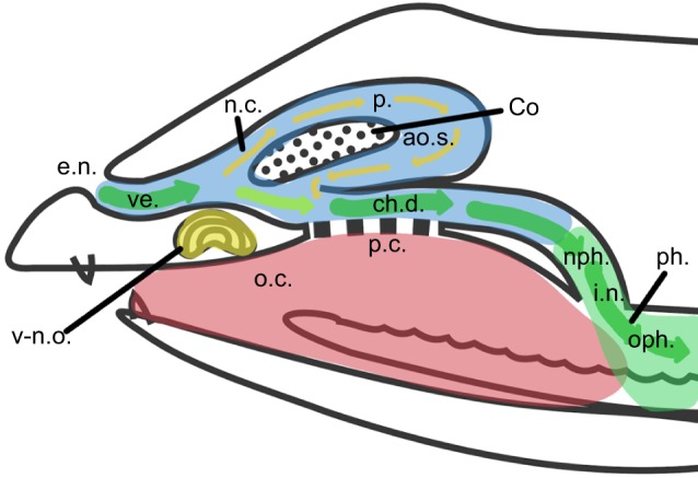 Fig. 5.