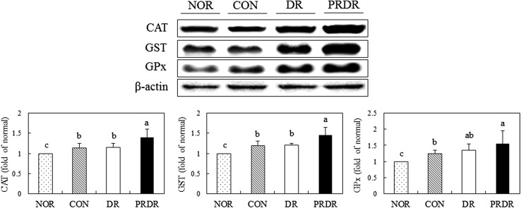 Fig. 4