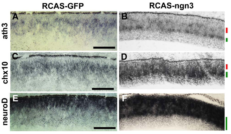 Fig. 10