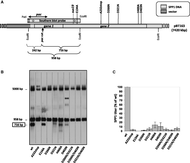 Figure 6.