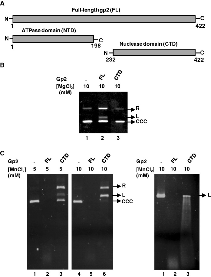 Figure 2.