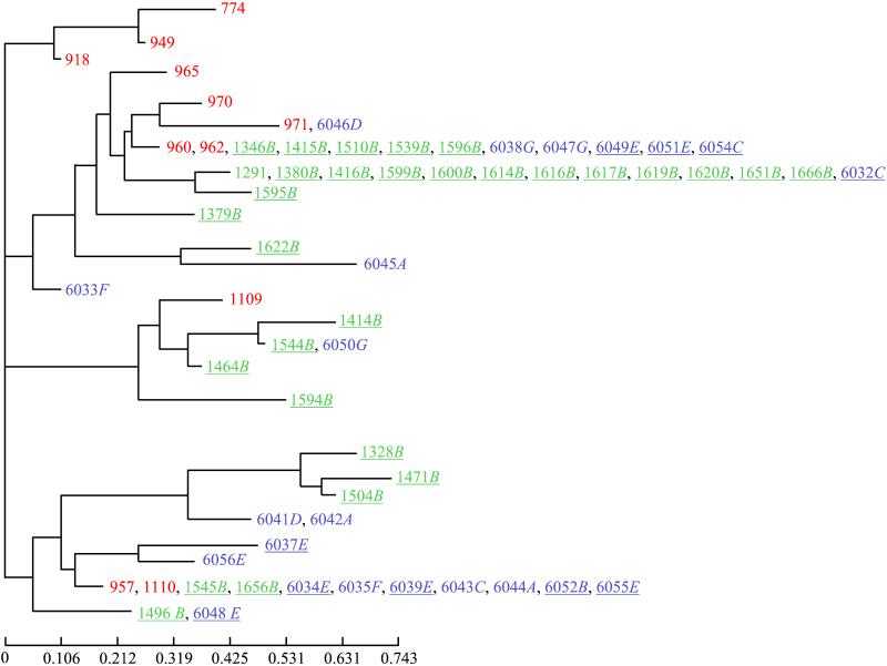 FIG. 1.