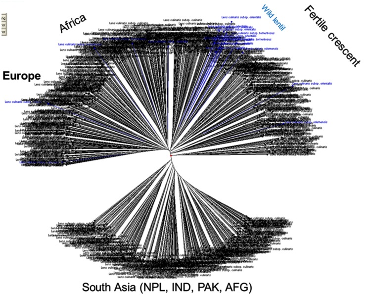 FIGURE 1