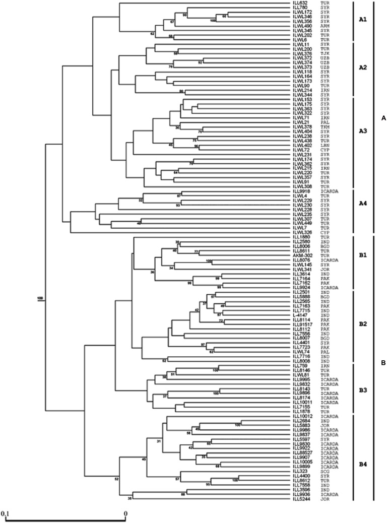 FIGURE 2