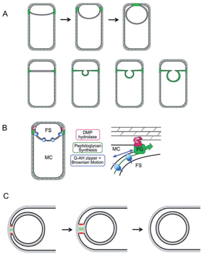 Fig. 8