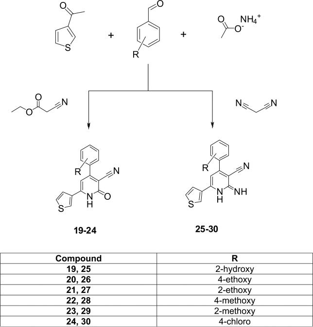 Scheme 3