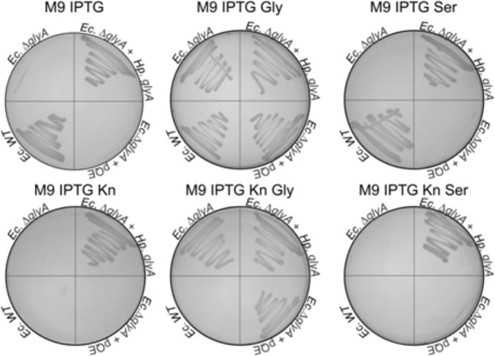 Fig 2