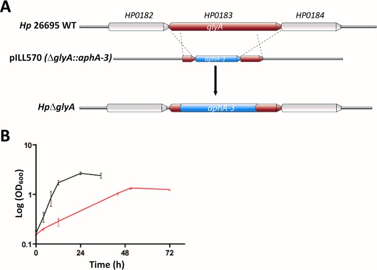 Fig 6