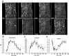 FIG. 4.