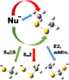 Graphical Abstract