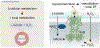 Figure 5: