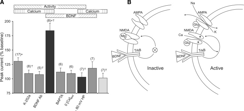 FIG. 6.