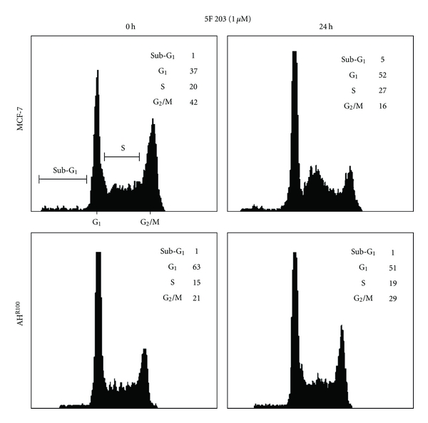 Figure 6