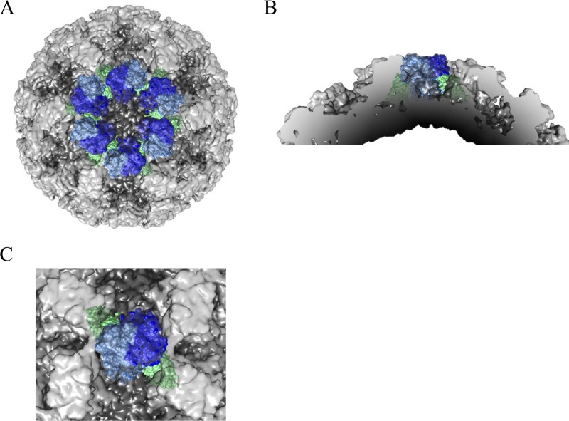 FIG 4