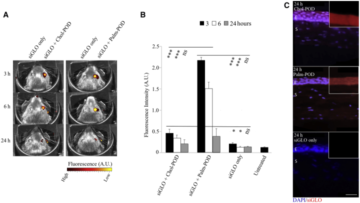 Figure 4