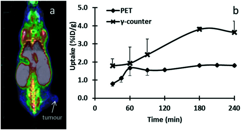 Fig. 10