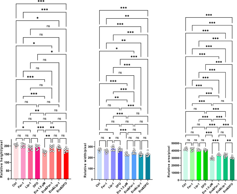 Figure 4—figure supplement 1.