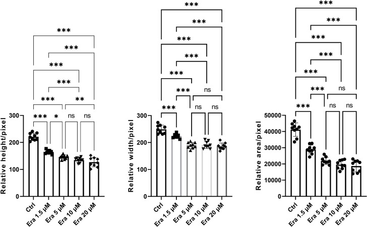 Figure 2—figure supplement 1.