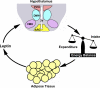 Fig. 1.